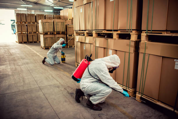 Best Bed Bug Extermination  in Laton, CA