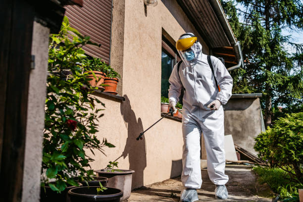 Best Affordable Pest Control Services  in Laton, CA