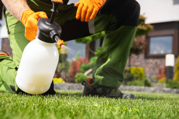 Best Pest Removal Services  in Laton, CA
