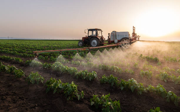 Best Bird Control  in Laton, CA