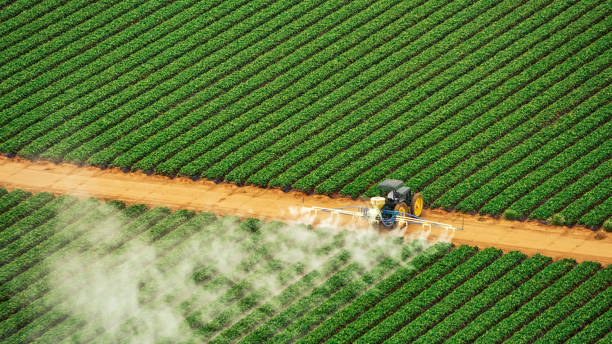Best Best Pest Control Companies  in Laton, CA