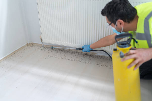 Best Cockroach Control Services  in Laton, CA
