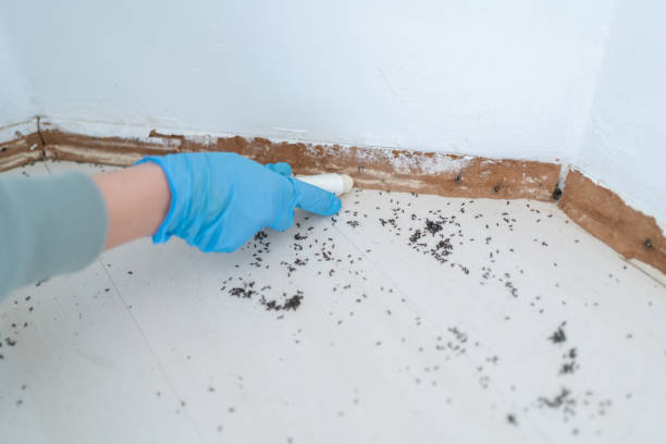 Best Wildlife Control Services  in Laton, CA