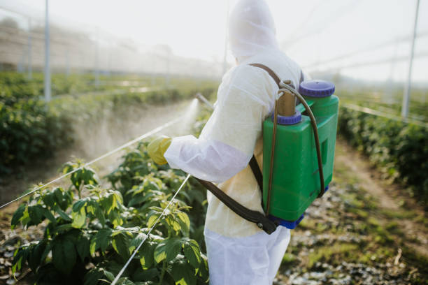 Best Flea Control Services  in Laton, CA
